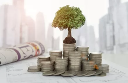 Apartment Renovation